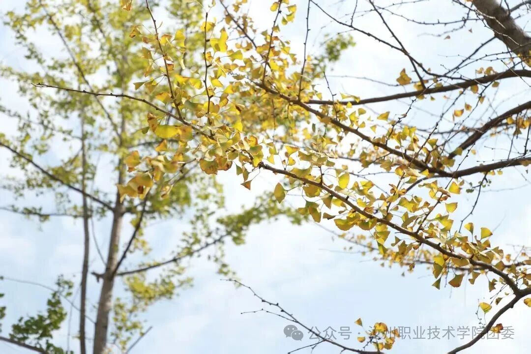 微信图片_2025-10-25_122436_308.jpg