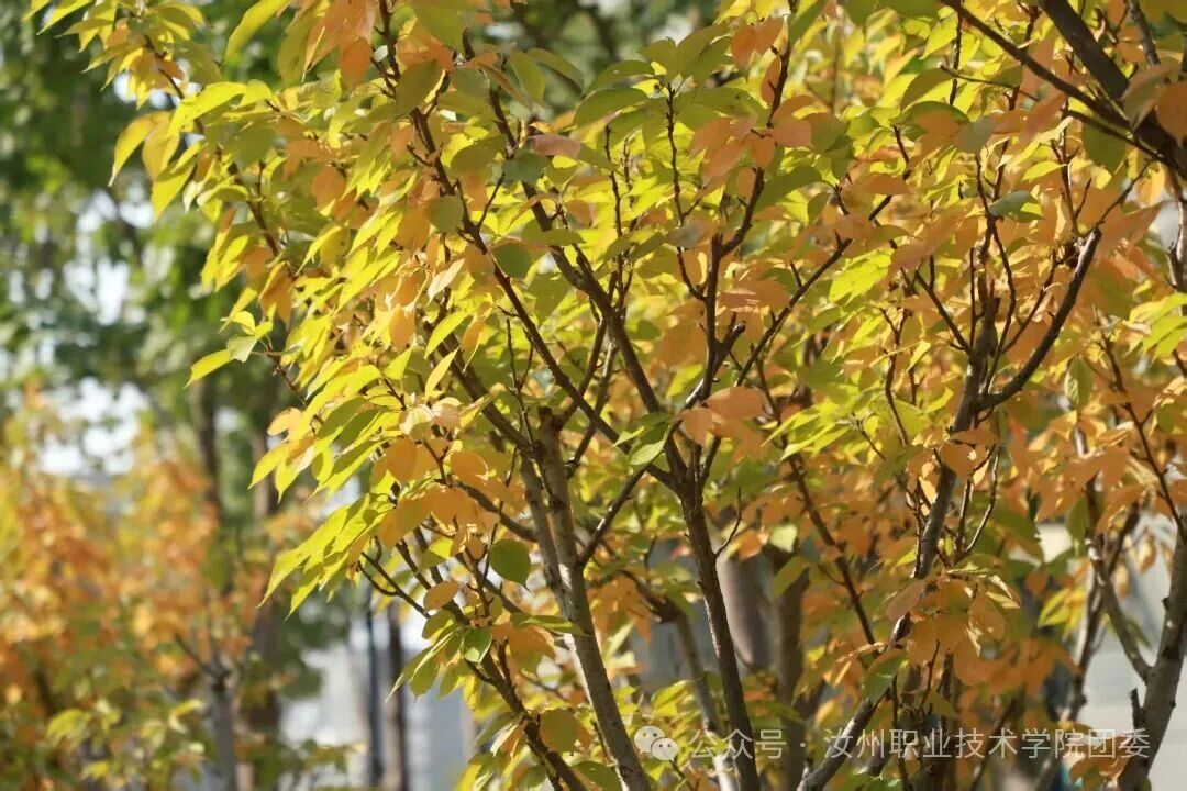 微信图片_2025-10-25_134217_666.jpg