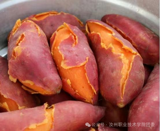 微信图片_2025-10-25_122352_559.png