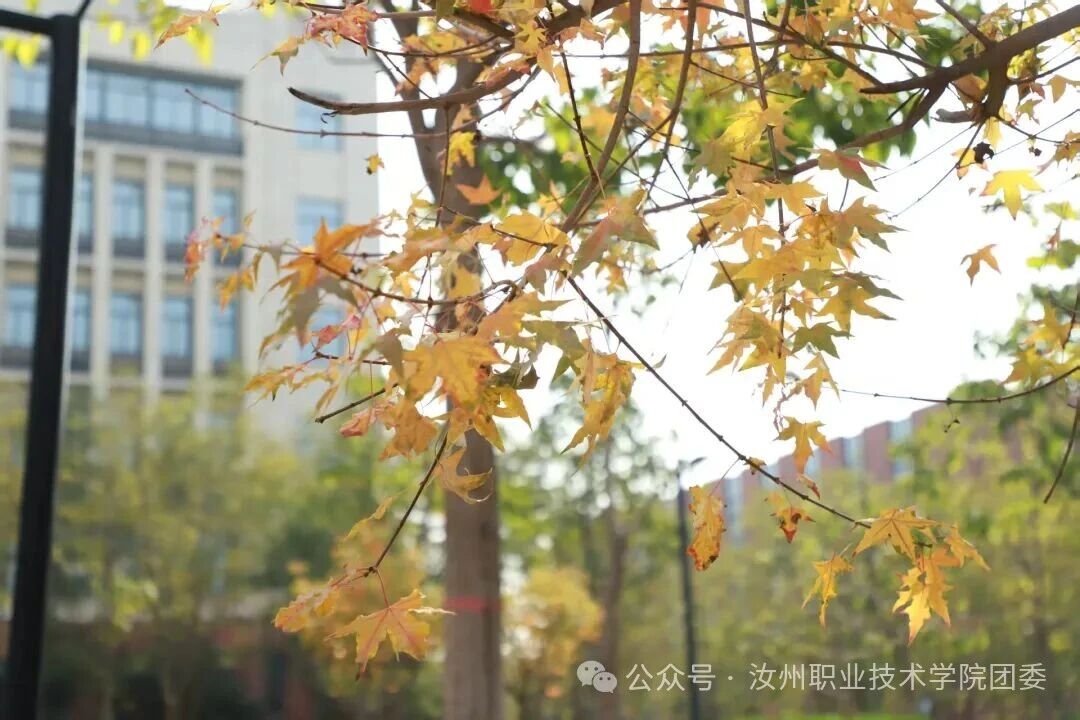 微信图片_2025-10-25_134242_355.jpg