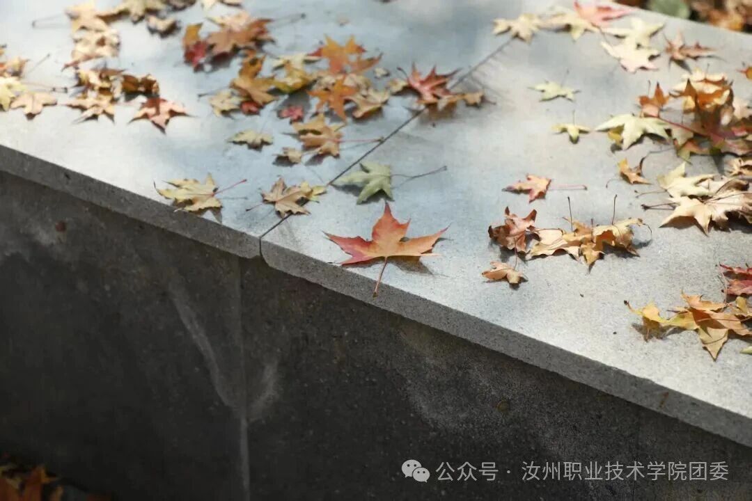 微信图片_2025-10-25_121828_027.jpg